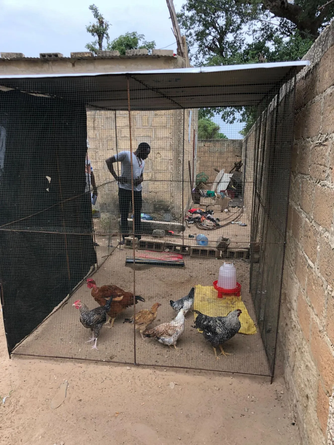 Micro-unité avicole à Ngoumsane